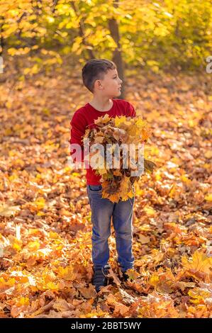 un jeune gars en vêtements décontractés se tient dans un parc d'automne parmi le feuillage jaune et tient dans ses mains un armful de feuilles tombées Banque D'Images