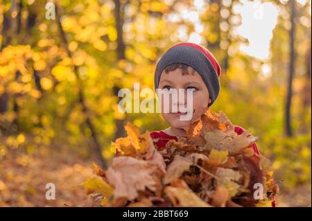 un magnifique enfant dans un chapeau d'hiver se tient avec des feuilles mortes jaunes dans le parc d'automne Banque D'Images