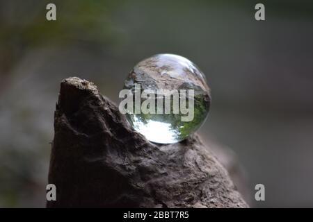 Petite boule de cristal perchée sur un Log in Rock Creek Park Banque D'Images