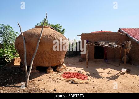 Les chilis rouges sont séchés au soleil près d'un grenier de boue dans un village éloigné. Banque D'Images