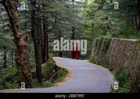 Randonnée à Dharmasala, un petit village du nord de l'Inde Banque D'Images