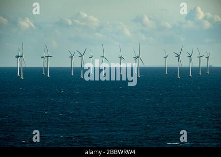 Turbines éoliennes offshore Lillgrund mer, Suède, Europe Banque D'Images