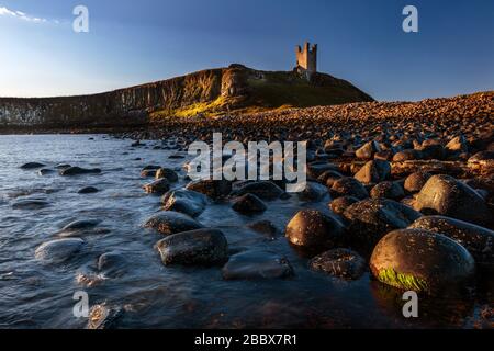 Les ruines du château de Dunstanburgh surplombant les rives de rochers parsemées de la baie d'Embleton, Northumberland, Angleterre Banque D'Images