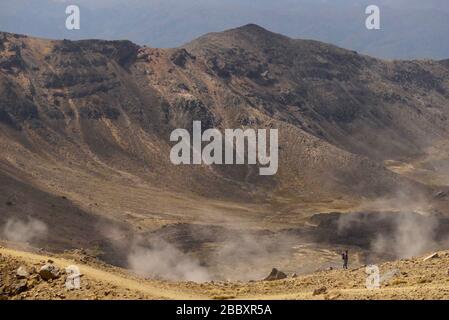 Un seul randonneur se tient sur le sol volcanique de la vapeur sur le passage de Tongariro Banque D'Images