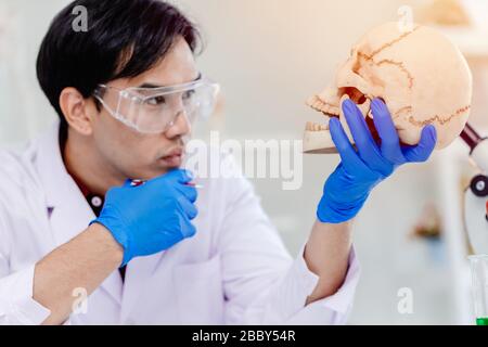 Scientifique anthropologie physique dans le laboratoire de sciences biologiques étudiant l'os humain regardant se demander au crâne d'étudier l'âge de la tête ancienne Banque D'Images