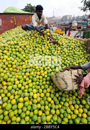 Marché de gros de chaux douce, Mosambi est un fruit tropical populaire. Fruits de limonette sucrée (Citrus limetta) à vendre sur le marché du koyambedu, Chennai Banque D'Images