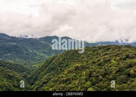 Vue aérienne de la réserve biologique de la Forêt-Cloud Monteverde, province de Puntarenas, Costa Rica. Banque D'Images