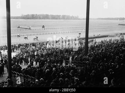 Début de course, Belmont Race Track CA. 1913 Banque D'Images