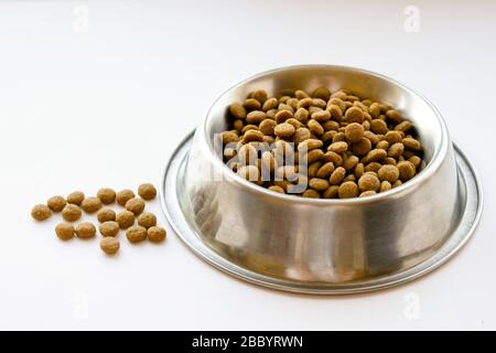 Les chats et les chiens sèchent la nourriture dans un bol en métal sur fond blanc Banque D'Images