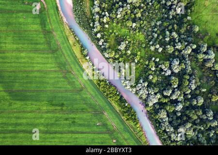 Traversez le majestueux paysage ukrainien avec la rivière Dnister et les champs verts au coucher du soleil. Heure d'été Banque D'Images