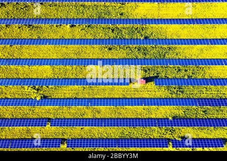 Panneau solaire de dessus. Photo de drone aérienne regardant vers le bas sur des rangées de panneaux solaires bleus dans une ferme d'énergie renouvelable Banque D'Images