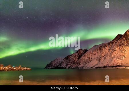 Aurores boréales au-dessus de la plage d'Ersfjord. Île de Senja la nuit, Norvège. Europe Banque D'Images