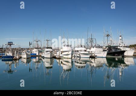 Des bateaux de pêche amarrés à la baie de San Diego tôt le matin avec le ciel bleu Banque D'Images