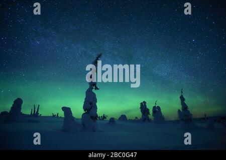 Lumières du Nord dans le parc national de Riisitunturi, Laponie, Finlande Banque D'Images