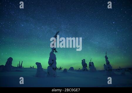 Lumières du Nord dans le parc national de Riisitunturi, Laponie, Finlande Banque D'Images