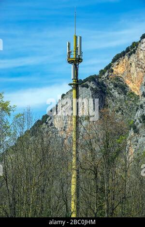 Mât de téléphone mobile camouflé dans les bois et les montagnes, Ariège, Pyrénées françaises, France Banque D'Images