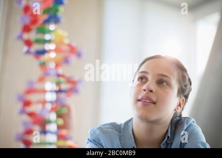 Étudiants de fille pensive examinant le modèle d'ADN en laboratoire de classe Banque D'Images