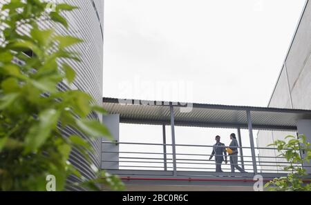 Les superviseurs marchant sur un passage surélevé entre les bâtiments de l'usine Banque D'Images