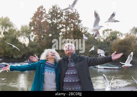 Un couple senior dynamique et ludique qui regarde les oiseaux volants dans l'étang du parc Banque D'Images