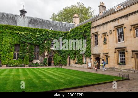 Lincoln College, Oxford, Angleterre, Royaume-Uni. Juillet 2019. Le Collège de la bienheureuse Marie et de tous les Saints, Université d'Oxford. Plantes grimpantes Banque D'Images
