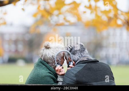 Couple senior partageant un casque, écoutant de la musique dans le parc d'automne Banque D'Images