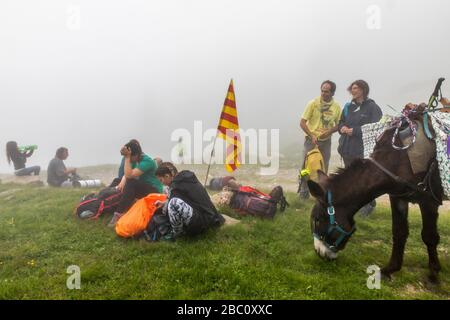 LA TROUBADE OU TROBADA, UNE TRADITION CATALANE, GRIMPANT SUR LA MONTAGNE DE CANIGOU À PIED POUR PLACER UN ENSEMBLE DE POUSSES DE GRAPEVINE AU SOMMET, (66) PYRÉNÉES-ORIENTALES, LANGUEDOC-ROUSSILLON, OCCITANIE, FRANCE Banque D'Images