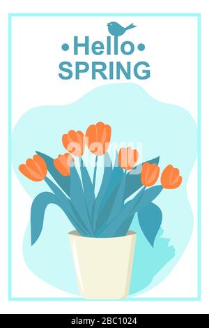 concept de ressort à vecteur bonjour. Godet avec tulipes orange. Carte de vœux brillante Illustration de Vecteur
