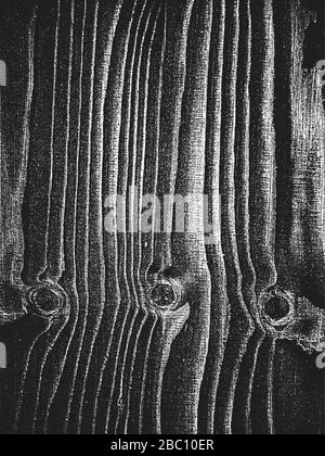 Texture des planches en bois de détresse. Fond noir et blanc grunge... Illustration de Vecteur