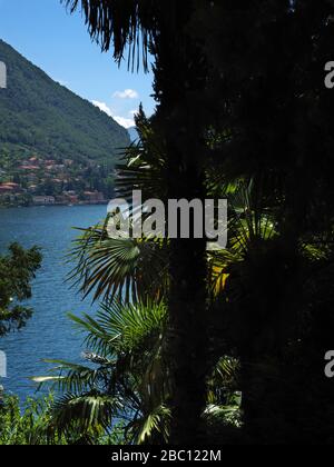 Villa Monastero villas, jardin, Varenna, Lac de Côme, Lombardie, Italie, Europe Banque D'Images