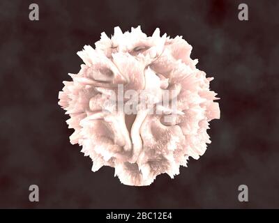 Illustration 3-D, visualisation d'un leucocyte, cellule de sang blanc Banque D'Images