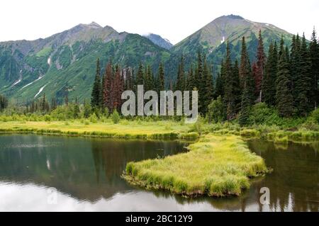 Un petit lac et une terre humide dans la forêt boréale et le muskeg dans les montagnes Stikine, dans le nord de la Colombie-Britannique, au Canada. Banque D'Images
