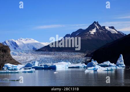 Vue sur le glacier gris, le Lago Gray, le parc national de Torres del Paine, la région de Magallanes, la Patagonie, le Chili Banque D'Images