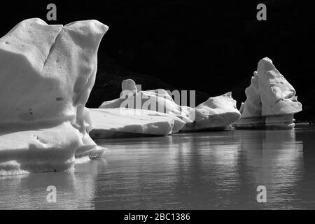 Vue sur le glacier gris, le Lago Gray, le parc national de Torres del Paine, la région de Magallanes, la Patagonie, le Chili Banque D'Images