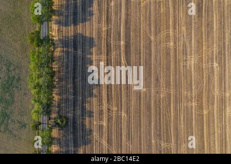 Allemagne, Brandebourg, Drone vue sur la route de campagne en ruines et le champ brun Banque D'Images