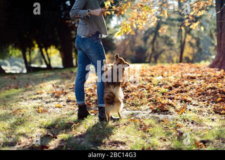 Jeune femme jouant avec le chien dans un parc Banque D'Images