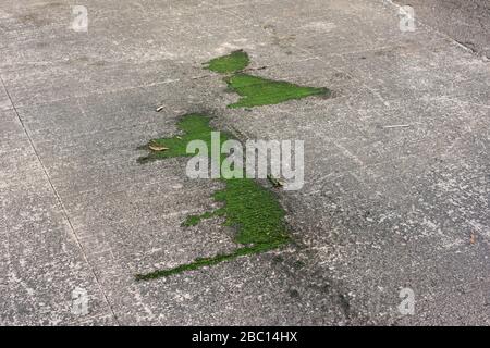 Scènes autour d'un quartier d'art urbain dans une promenade photo. Ce bâtiment vert réfléchit dans l'eau, ce qui fait apparaître le liquide en vert. Banque D'Images