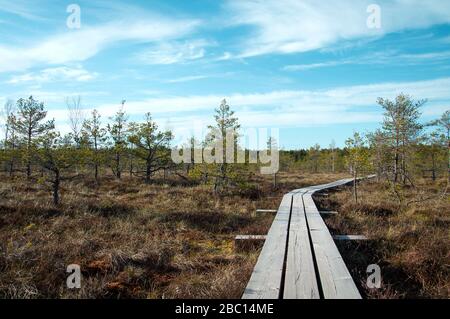 Sentier en bois sur marais pour les touristes Banque D'Images