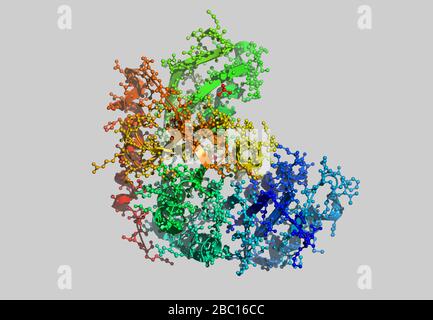 Modèle moléculaire Enzym avec atomes Banque D'Images