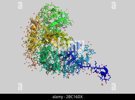 Modèle moléculaire Enzym avec atomes Banque D'Images