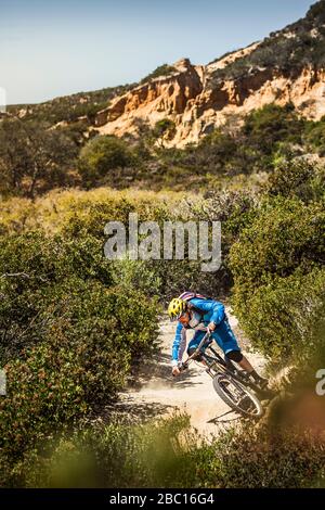 Mountainbiker descendant le train à tête unique poussiéreux, fort Ord National Monument Park, Monterey, Californie, États-Unis Banque D'Images