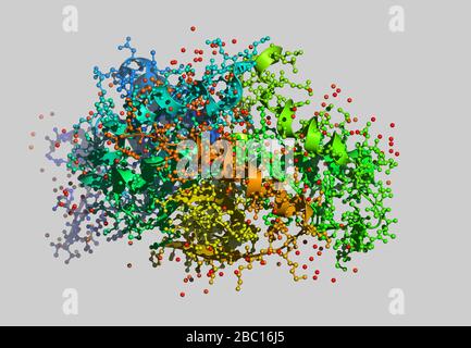 Modèle moléculaire Enzym avec atomes Banque D'Images