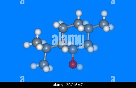 Modèle moléculaire de menthol avec atomes Banque D'Images