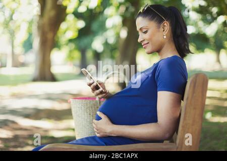 Femme enceinte textant avec téléphone portable sur banc de parc Banque D'Images