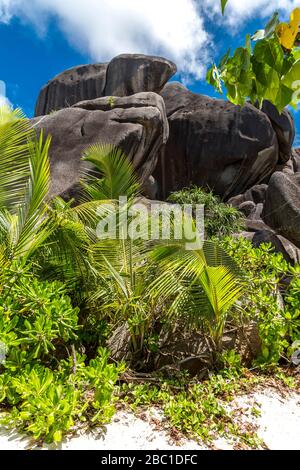 Granitfelsen am Strand Anse Source d'argent, Insel la Digue, Seychelles, Indischer Ozean, Afrika Banque D'Images