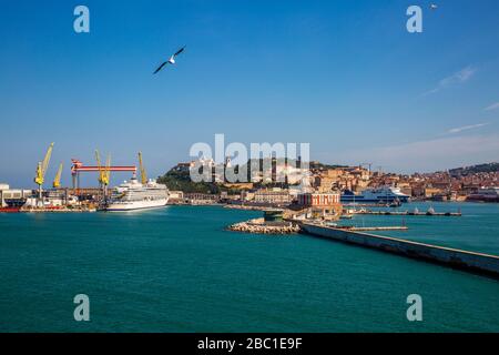 Italie, Province d'Ancona, Ancona, Seagull voler contre ciel clair sur la ville côtière Banque D'Images