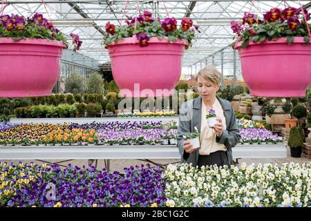 Femme choisissant des fleurs dans le magasin de fleurs Banque D'Images