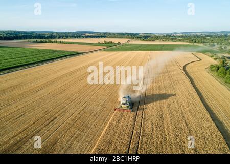 Vue aérienne de la moissonneuse-batteuse, champ de récolte de grain. Bavière, Allemagne, Europe. Banque D'Images