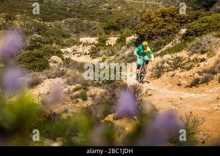 Homme qui monte le chemin dirth sur la VTT dans le parc national du monument de fort Ord, Monterey, Californie, États-Unis Banque D'Images