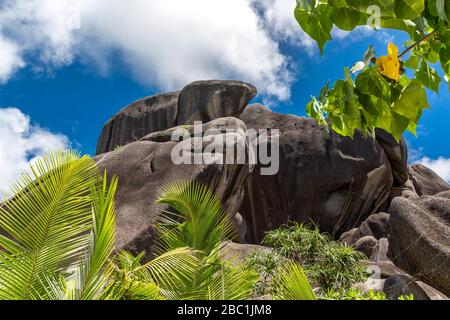 Granitfelsen am Strand Anse Source d'argent, Insel la Digue, Seychelles, Indischer Ozean, Afrika Banque D'Images