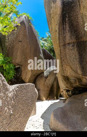 Granitfelsen am Strand Anse Source d'argent, Insel la Digue, Seychelles, Indischer Ozean, Afrika Banque D'Images